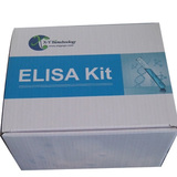  人骨成型蛋白7(BMP-7)ELISA試劑盒 